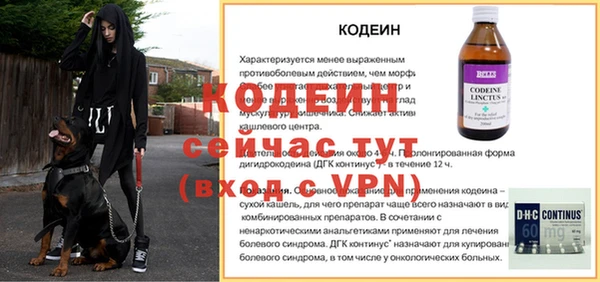 стафф Ладушкин